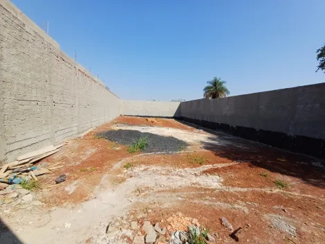 Terreno / Padrão em Ribeirão Preto 