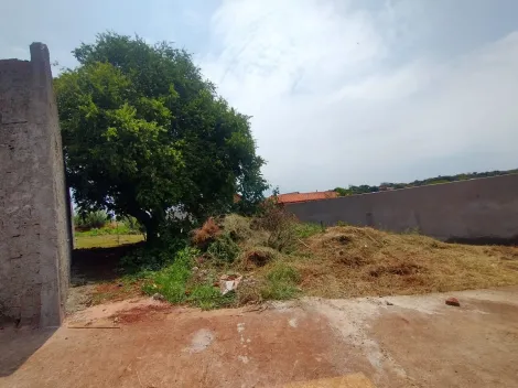 Comprar Terreno / Padrão em Ribeirão Preto R$ 215.000,00 - Foto 1