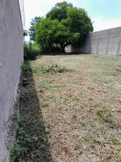 Comprar Terreno / Padrão em Ribeirão Preto R$ 215.000,00 - Foto 2