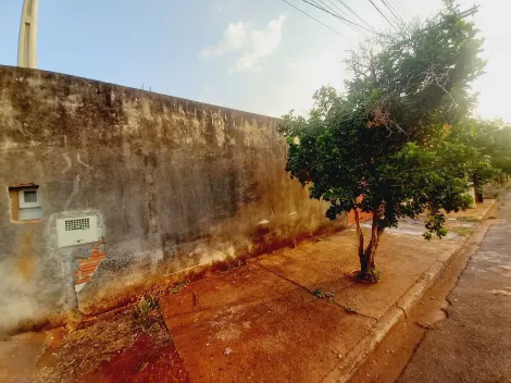 Terreno / Padrão em Ribeirão Preto Alugar por R$0,00