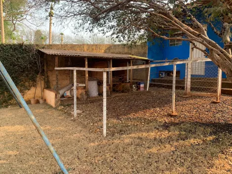 Alugar Rural / Chácara em Ribeirão Preto R$ 5.200,00 - Foto 9