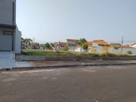 Terreno / Padrão em Ribeirão Preto 