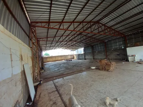 Alugar Comercial padrão / Galpão - Armazém em Ribeirão Preto R$ 7.100,00 - Foto 6