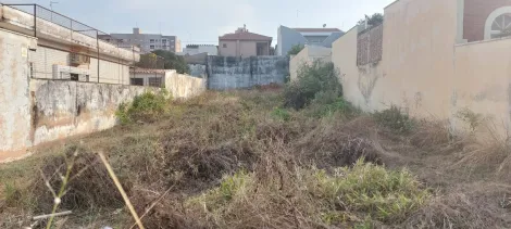 Comprar Terreno / Padrão em Sertãozinho R$ 390.000,00 - Foto 3