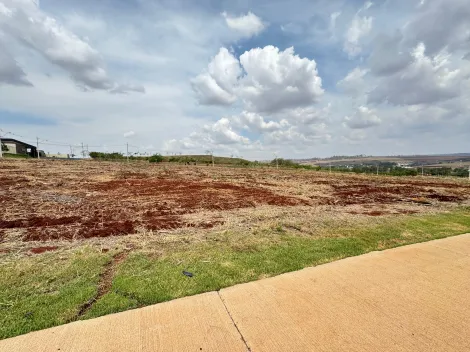 Comprar Terreno / Comercial em RIBEIRÃO PRETO R$ 460.000,00 - Foto 2