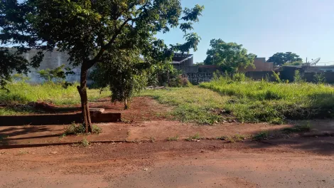 Terreno / Padrão em Ribeirão Preto 