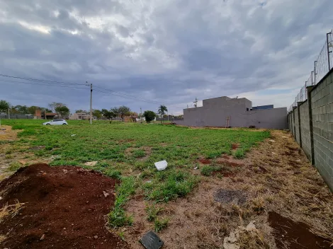 Comprar Terreno / Condomínio em Bonfim Paulista R$ 170.000,00 - Foto 3