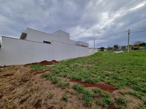 Comprar Terreno / Condomínio em Bonfim Paulista R$ 170.000,00 - Foto 5