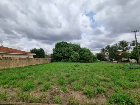 Comprar Terreno / Padrão em Ribeirão Preto R$ 830.000,00 - Foto 3