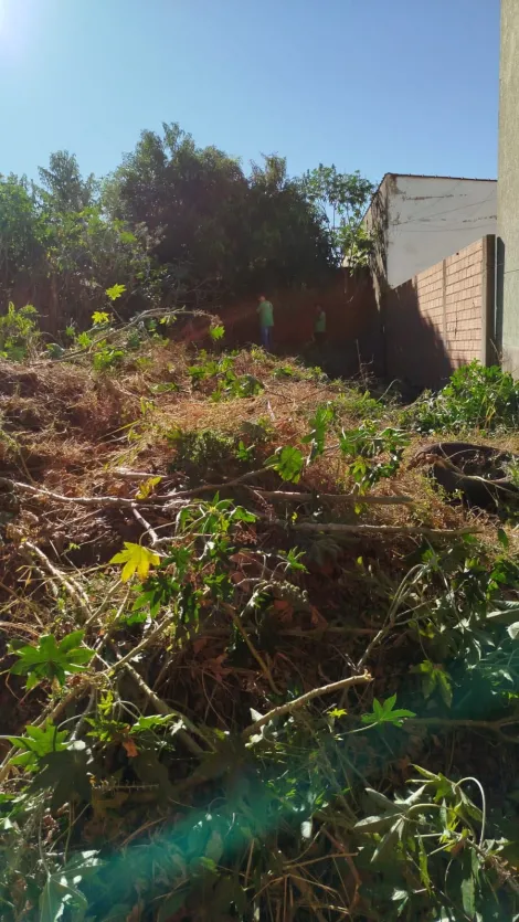 Terreno / Padrão em Ribeirão Preto 