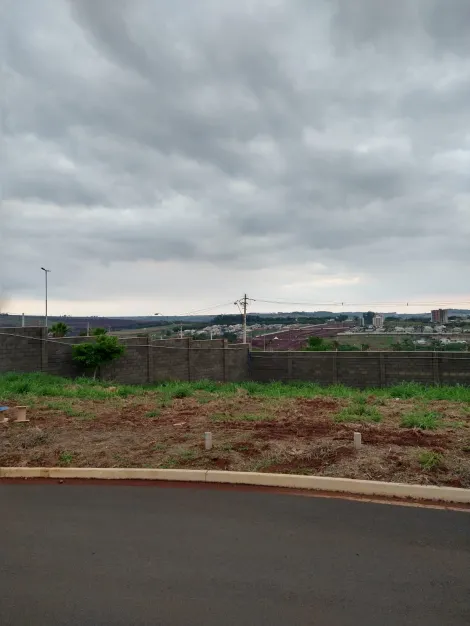 Comprar Terreno / Condomínio em Ribeirão Preto R$ 350.000,00 - Foto 2