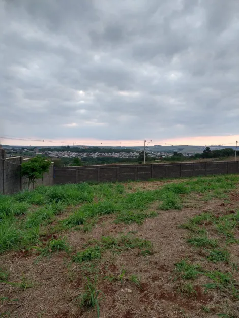 Comprar Terreno / Condomínio em Ribeirão Preto R$ 350.000,00 - Foto 3