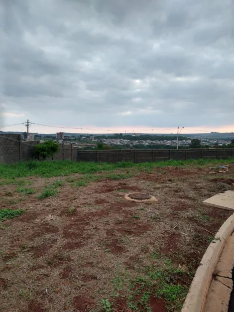 Terreno / Condomínio em Ribeirão Preto Alugar por R$0,00