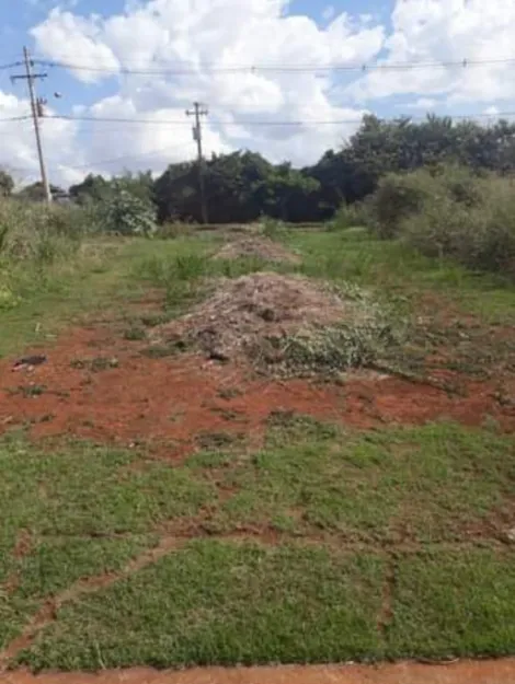 Terreno / Padrão em Ribeirão Preto 