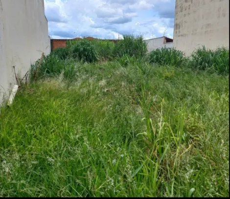 Terreno / Padrão em Ribeirão Preto Alugar por R$0,00