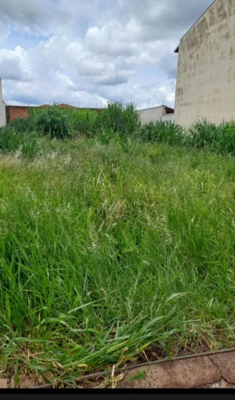 Comprar Terreno / Padrão em Ribeirão Preto R$ 320.000,00 - Foto 2