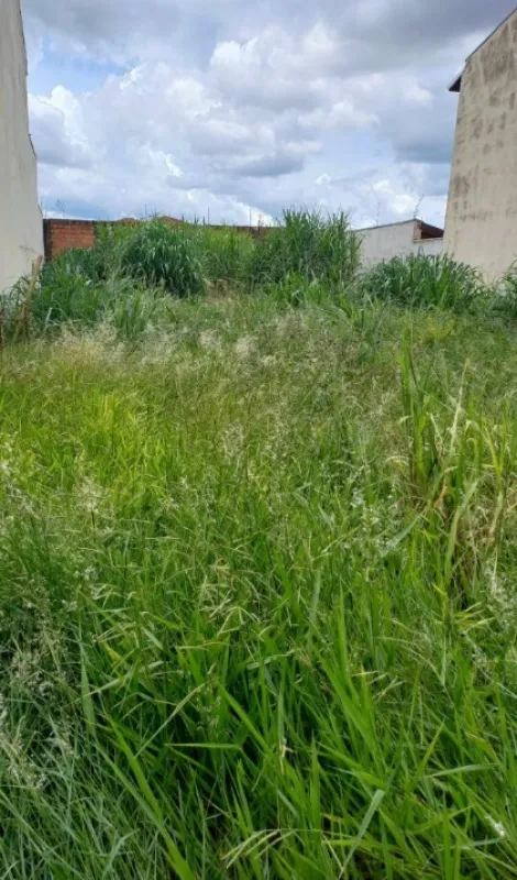 Comprar Terreno / Padrão em Ribeirão Preto R$ 320.000,00 - Foto 3