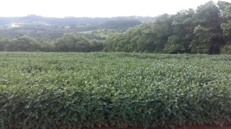 Comprar Rural / Fazenda em Franca R$ 8.200.000,00 - Foto 6