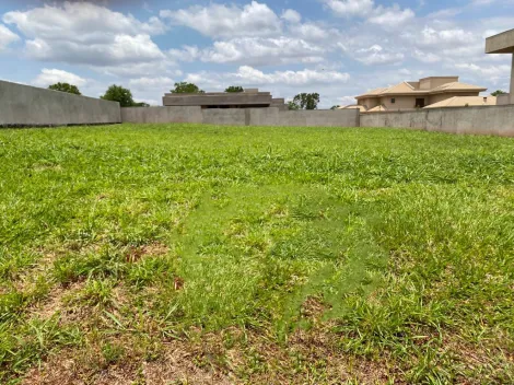 Terreno / Condomínio em Cravinhos Alugar por R$0,00