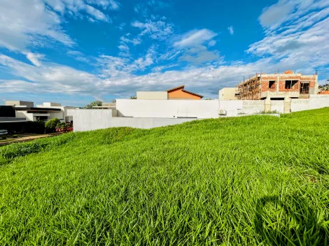 Comprar Terreno / Condomínio em Ribeirão Preto R$ 530.000,00 - Foto 4