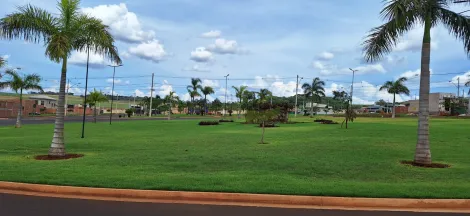 Comprar Terreno / Condomínio em Ribeirão Preto R$ 270.000,00 - Foto 6