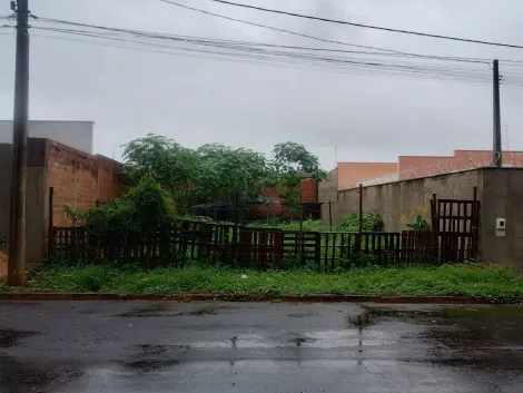 Terreno / Padrão em Sertãozinho , Comprar por R$270.300,00