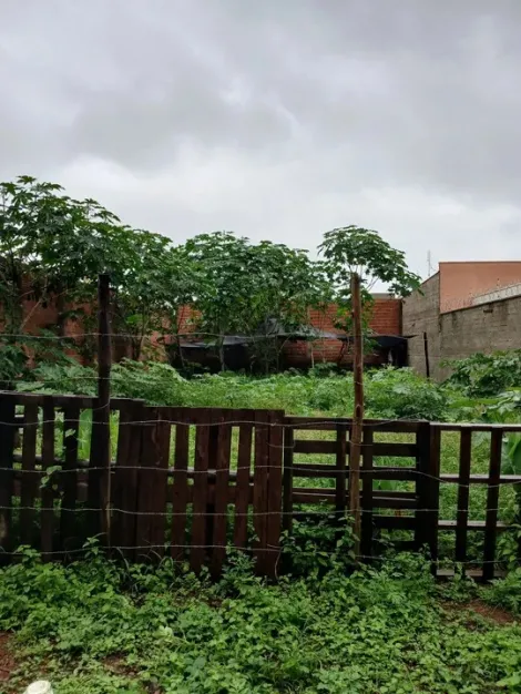 Comprar Terreno / Padrão em Sertãozinho R$ 270.300,00 - Foto 2