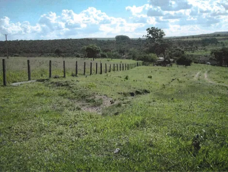 Comprar Rural / Sítio em Santa Rosa de Viterbo R$ 480.000,00 - Foto 14