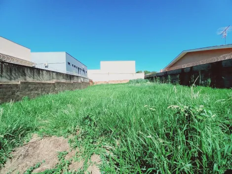 Terreno / Padrão em Ribeirão Preto , Comprar por R$600.000,00