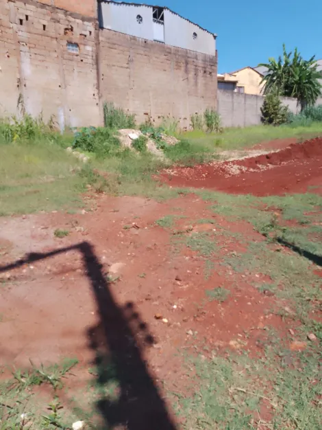 Comprar Terreno / Padrão em Serrana R$ 310.000,00 - Foto 3