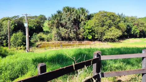 Rural / Sítio em Ribeirão Preto , Comprar por R$4.990.000,00