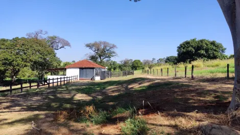 Comprar Rural / Sítio em Ribeirão Preto R$ 4.990.000,00 - Foto 2