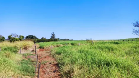 Comprar Rural / Sítio em Ribeirão Preto R$ 4.990.000,00 - Foto 4