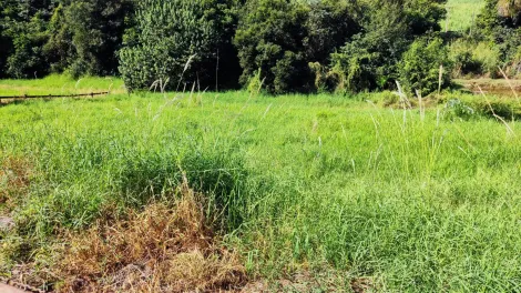 Comprar Rural / Sítio em Ribeirão Preto R$ 4.990.000,00 - Foto 11