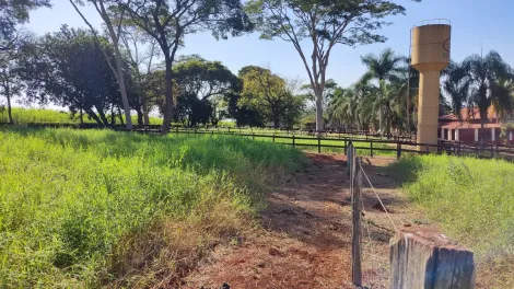 Comprar Rural / Sítio em Ribeirão Preto R$ 4.990.000,00 - Foto 15