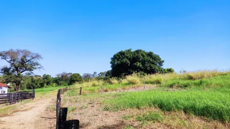 Comprar Rural / Sítio em Ribeirão Preto R$ 4.990.000,00 - Foto 18