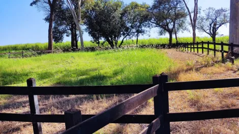 Comprar Rural / Sítio em Ribeirão Preto R$ 4.990.000,00 - Foto 19