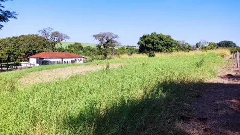 Comprar Rural / Sítio em Ribeirão Preto R$ 4.990.000,00 - Foto 20