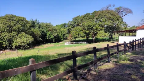 Comprar Rural / Sítio em Ribeirão Preto R$ 4.990.000,00 - Foto 22