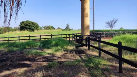 Comprar Rural / Sítio em Ribeirão Preto R$ 4.990.000,00 - Foto 25