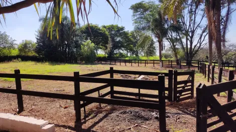 Comprar Rural / Sítio em Ribeirão Preto R$ 4.990.000,00 - Foto 29