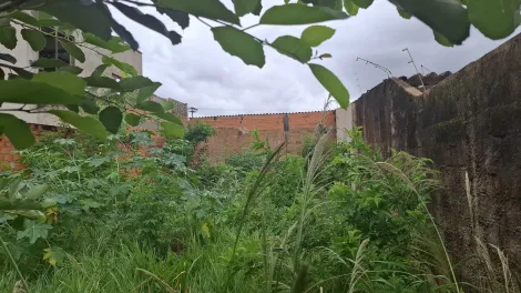 Comprar Terreno / Padrão em Ribeirão Preto R$ 140.000,00 - Foto 3