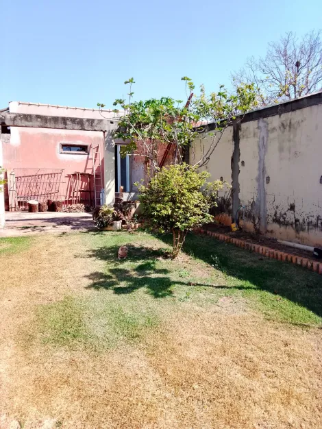 Comprar Rural / Chácara em Ribeirão Preto R$ 550.000,00 - Foto 9