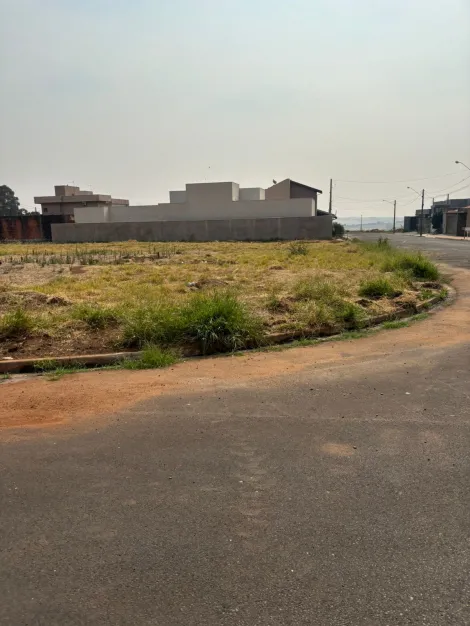 Terreno / Padrão em Brodowski Alugar por R$0,00