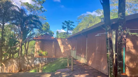 Comprar Rural / Chácara em Jardinópolis R$ 450.000,00 - Foto 16