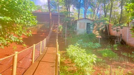 Comprar Rural / Chácara em Jardinópolis R$ 450.000,00 - Foto 21