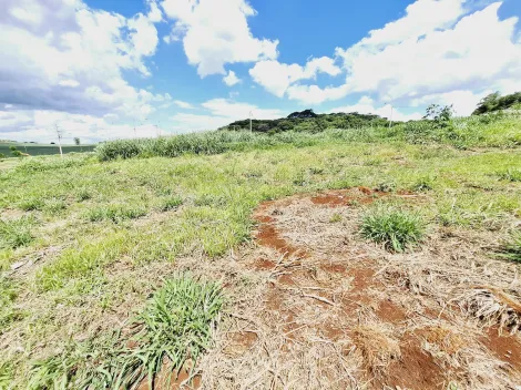 Comprar Terreno / Padrão em Ribeirão Preto R$ 170.000,00 - Foto 2