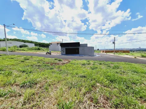 Comprar Terreno / Padrão em Ribeirão Preto R$ 170.000,00 - Foto 4