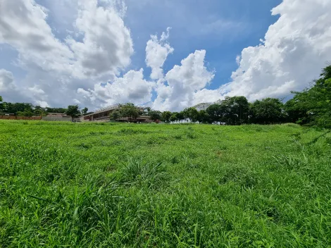 Comprar Terreno / Condomínio em Ribeirão Preto R$ 10.000.000,00 - Foto 3