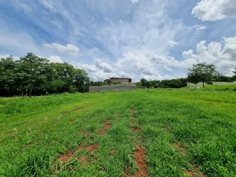 Comprar Terreno / Condomínio em Ribeirão Preto R$ 10.000.000,00 - Foto 6